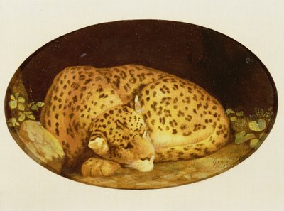 Leopardo Durmiendo, 1777 de George Stubbs